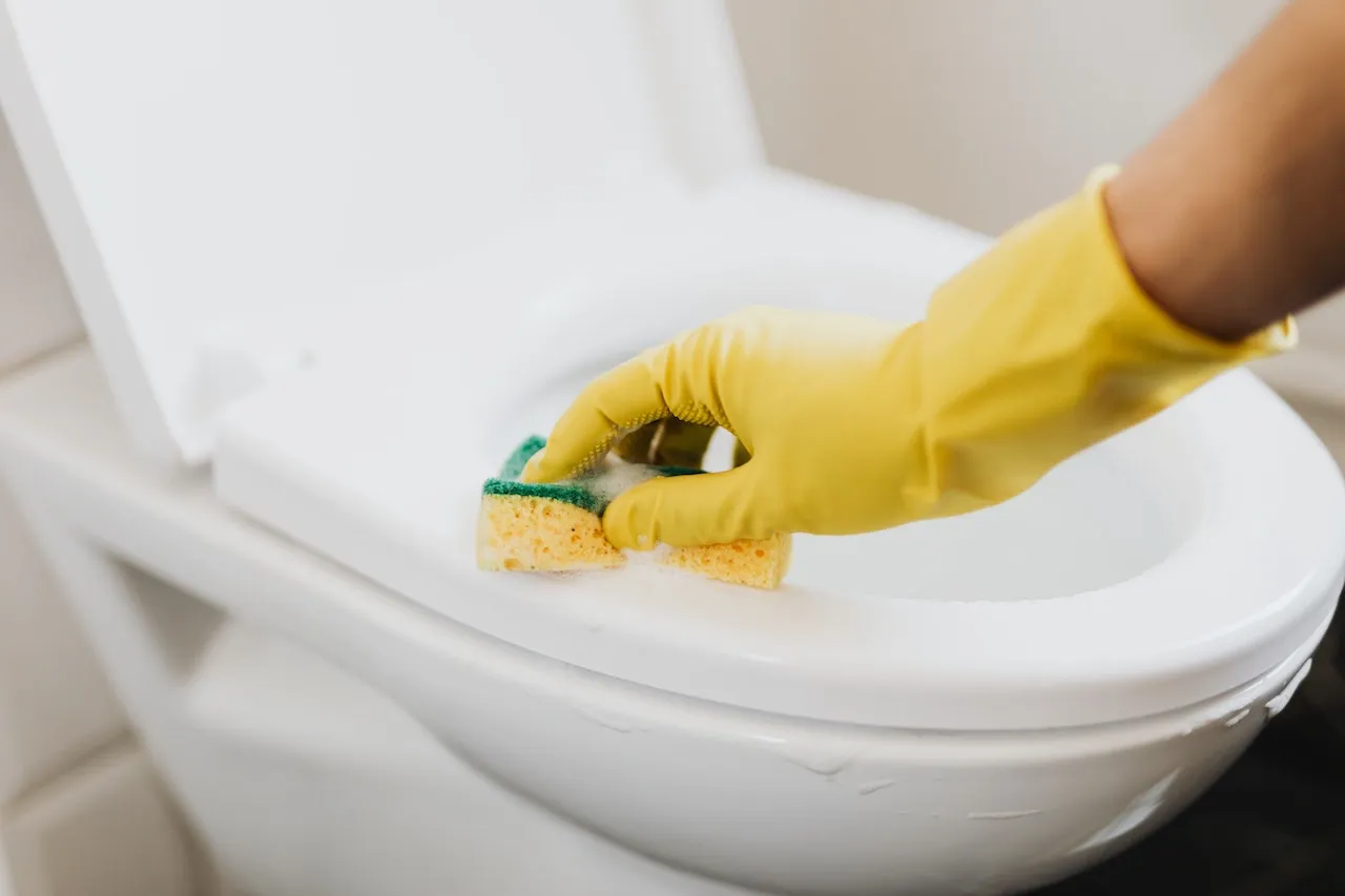 Kebiasaan Pakai WC Jongkok Terus Pindah ke WC Duduk itu Semacam Cobaan Hidup. Susah! 8