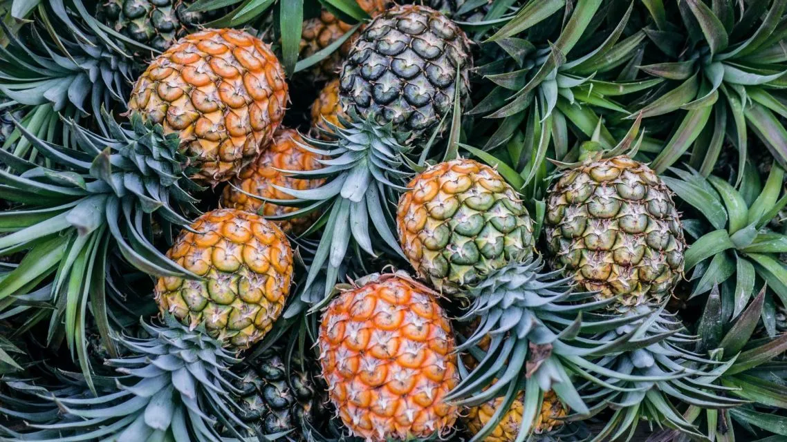 7 Buah untuk Diet agar Cepat Kurus & Sehat 13