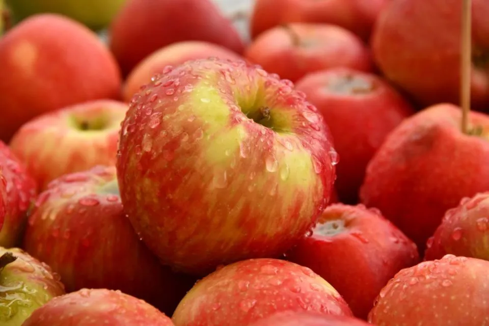 7 Buah untuk Diet agar Cepat Kurus & Sehat 8