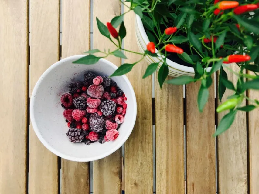 5 Cara Menanam Cabe di Rumah yang Berbuah Lebat 6