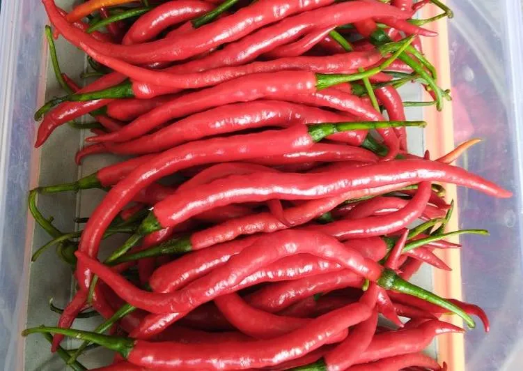 Tak Hanya Cabe Rawit, ini 6 Jenis Cabe Unik yang Muncul di Tantangan Masterchef Indonesia 10