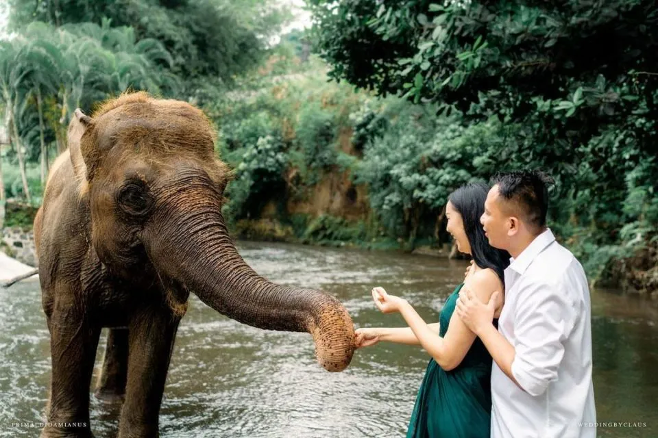 10 Potret Pre-wedding Vicky Prasetyo-Kalina Ocktaranny. Mesra di Hutan sampai Jadi Gladiator Cinta 16