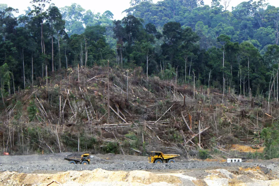 Tak Hanya Curah Hujan Seperti Kata Pemerintah, Banjir di Kalimantan Selatan Juga Dipicu Oleh Alih Fungsi Lahan 4