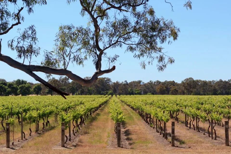 7 Tempat di Australia dengan View Otentik. Yakin Foto-fotomu Bakal Ciamik 18