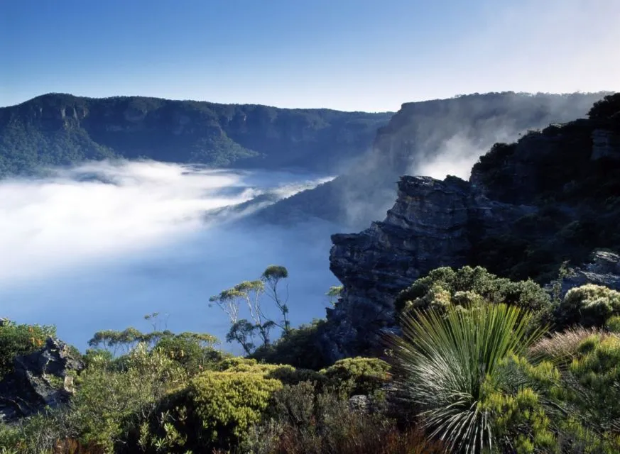 Yuk Bikin Itinerary Liburan di Australia. Biar Habis Pandemi Bisa Langsung Cus ke Sana 19