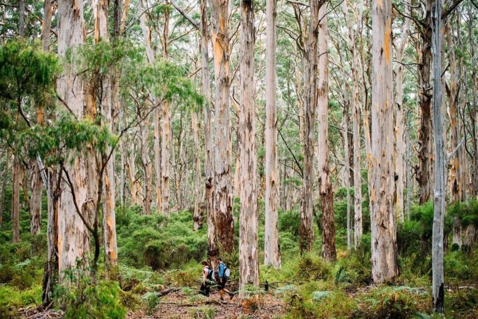 7 Tempat di Australia dengan View Otentik. Yakin Foto-fotomu Bakal Ciamik 22