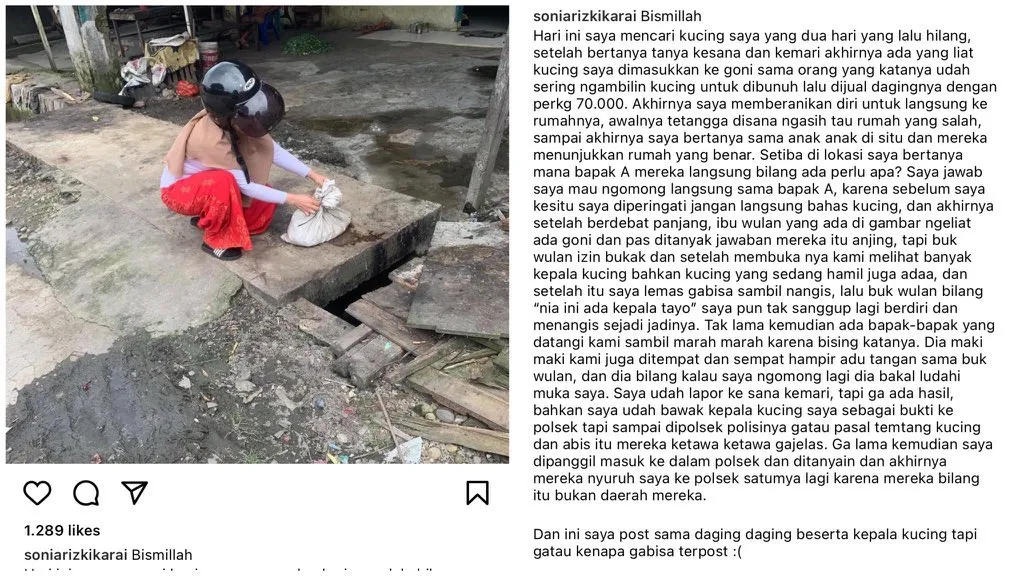 Viral Kasus Pencurian dan Penjagalan Kucing, Curhatan ini Bikin Warganet Geram. Tega Banget! :( 4