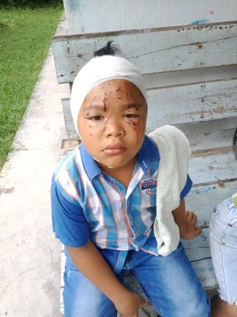 Viral Bocah Kecil Dicakarin Kucing, tapi Tetap Disayang-sayang. Budak Kocheng Sejak Dini~ 4