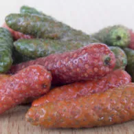 7 Khasiat Cabe Jawa, Bagus untuk Stamina dan Nafsu Makan