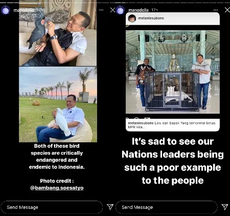 Manohara Mengaku Kecewa, Instagramnya Diblokir Ketua MPR Setelah Kritik Kepemilikan Hewan Langka 2