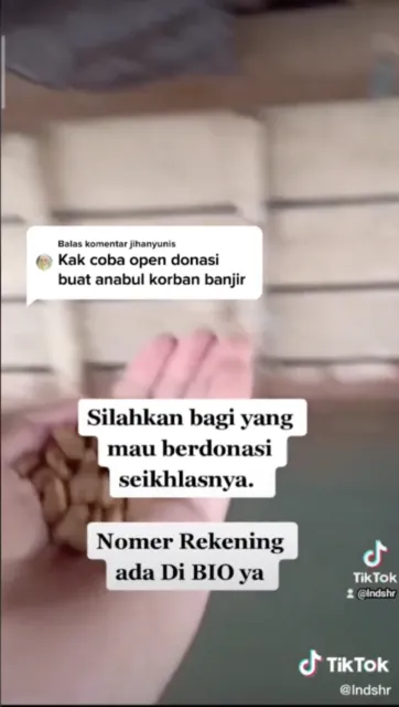 Selamatkan Kucing Saat Banjir di Kalsel, Sekumpulan Orang ini Tuai Pujian Warganet. Pahlawan! 3
