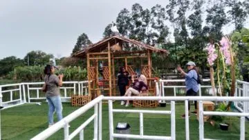 Berkunjung ke Kampung Wisata Pinggir Rawa, Hidden Paradise-nya Kota Tangerang