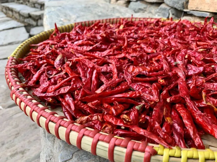 5 Trik Mengakali Harga Cabe Merah yang Kerap Menggila. Nggak Cepat Busuk dan Tahan 3 Bulan 7