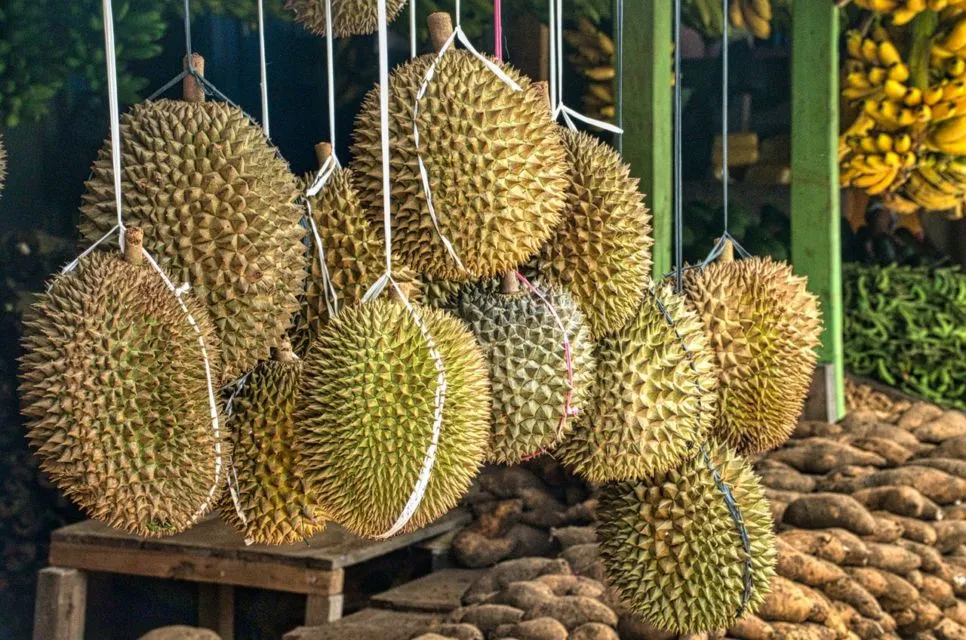 Cara Menghilangkan Kutu Kasur dengan 8 Bahan ini 16
