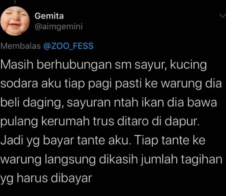 Deretan Warganet ini Ceritakan Kelakuan Ngaco Kucingnya. Para Budak Kocheng, Sini Merapat! 21