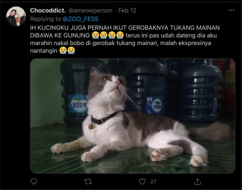 Deretan Warganet ini Ceritakan Kelakuan Ngaco Kucingnya. Para Budak Kocheng, Sini Merapat! 22