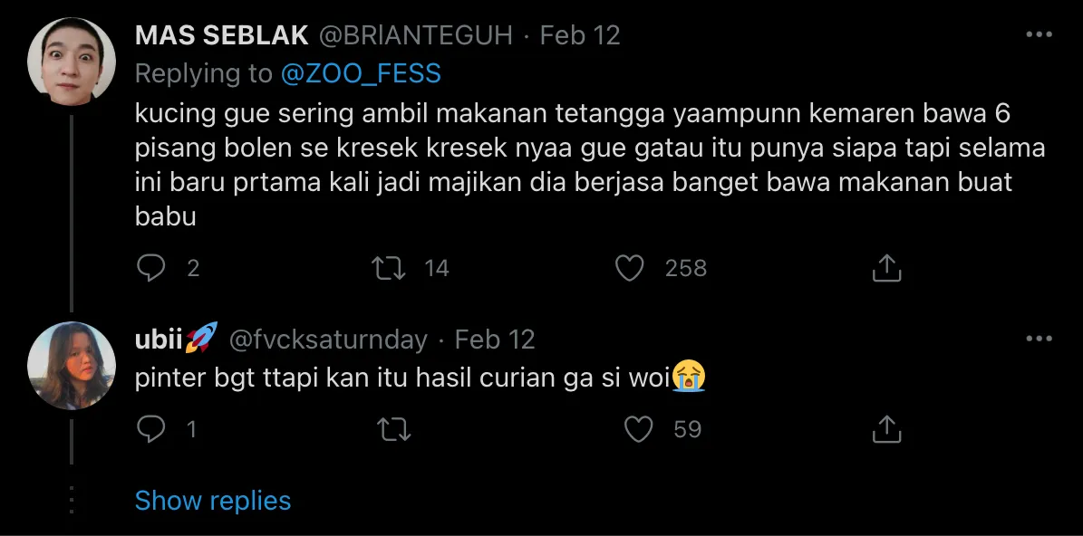 Deretan Warganet ini Ceritakan Kelakuan Ngaco Kucingnya. Para Budak Kocheng, Sini Merapat! 18