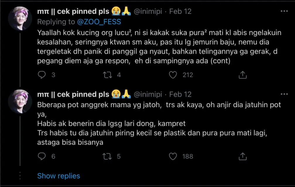 Deretan Warganet ini Ceritakan Kelakuan Ngaco Kucingnya. Para Budak Kocheng, Sini Merapat! 14