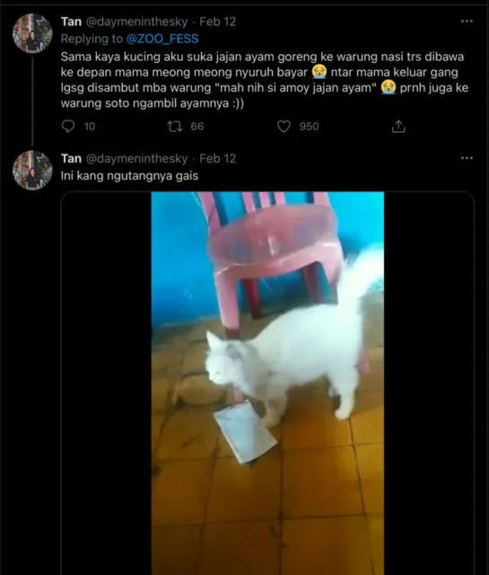Deretan Warganet ini Ceritakan Kelakuan Ngaco Kucingnya. Para Budak Kocheng, Sini Merapat! 15