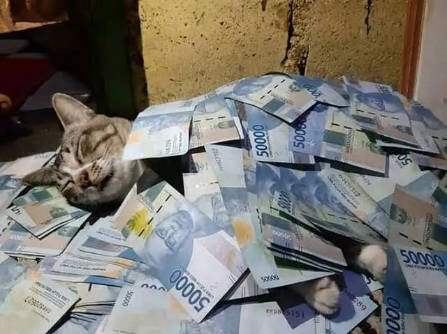 10+ Meme Kucing Paling Absurd yang Layak Disave 15