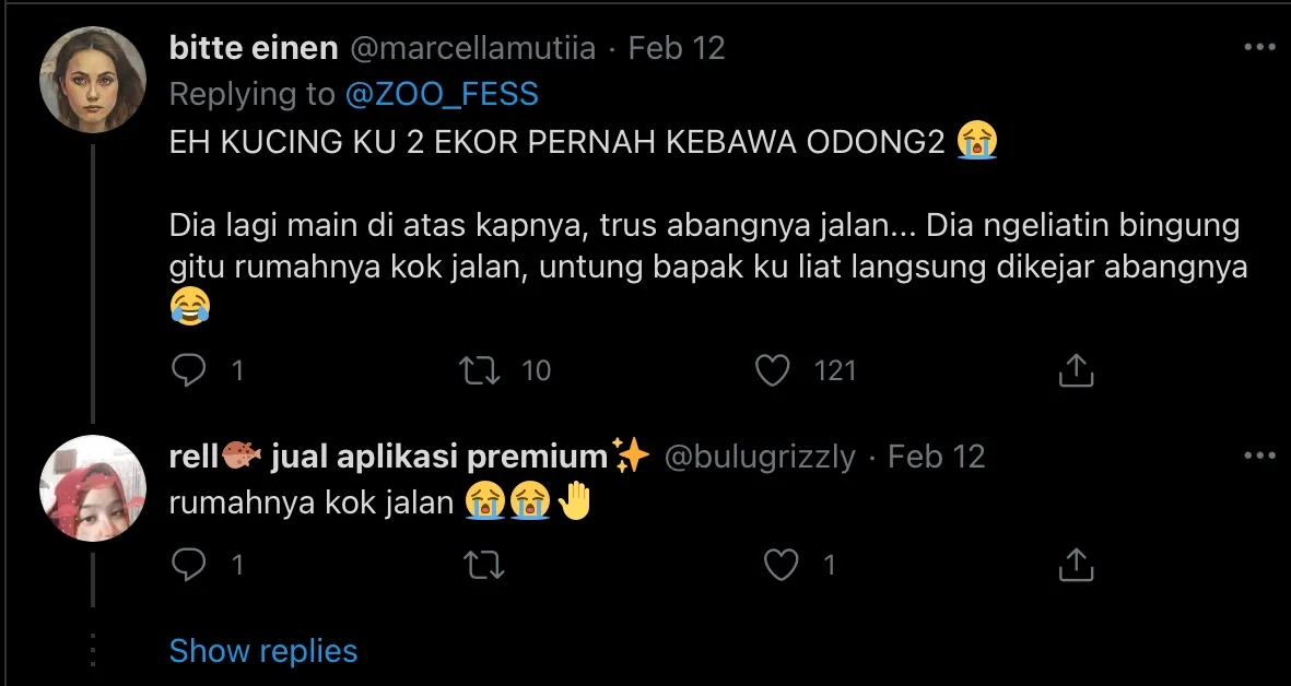 Deretan Warganet ini Ceritakan Kelakuan Ngaco Kucingnya. Para Budak Kocheng, Sini Merapat! 19