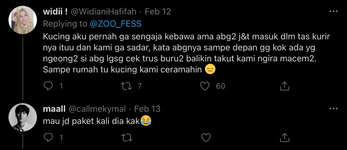 Deretan Warganet ini Ceritakan Kelakuan Ngaco Kucingnya. Para Budak Kocheng, Sini Merapat! 20