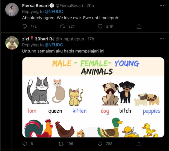 Berkat Warganet Indonesia, Istilah Ewe Semakin Viral di Mancanegara. Salah Pahamnya Kocak! :D 3