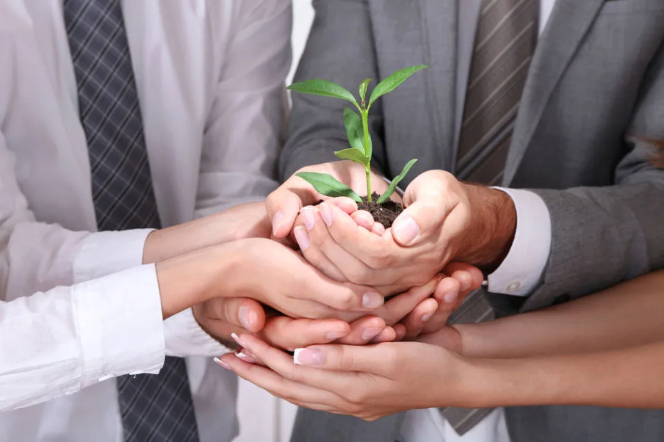 Mengenal 6 Level Perusahaan Start-up, dari 'Cockroach' Sebelum Naik Terus Jadi 'Hectocorn' 3