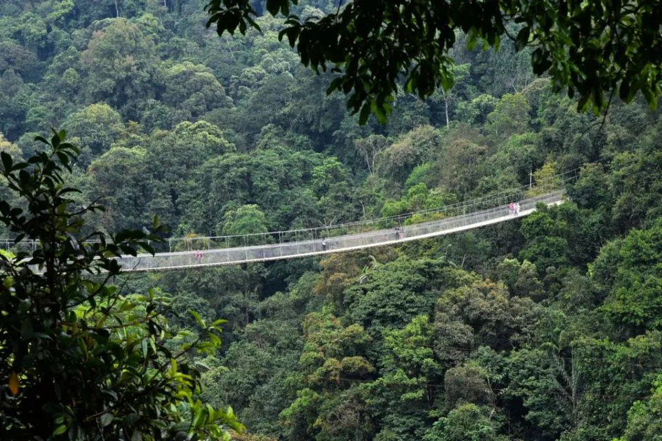 5 Fakta Menarik Gunung Gede Pangrango yang Belakangan Viral Karena Terlihat Jelas dari Jakarta 4