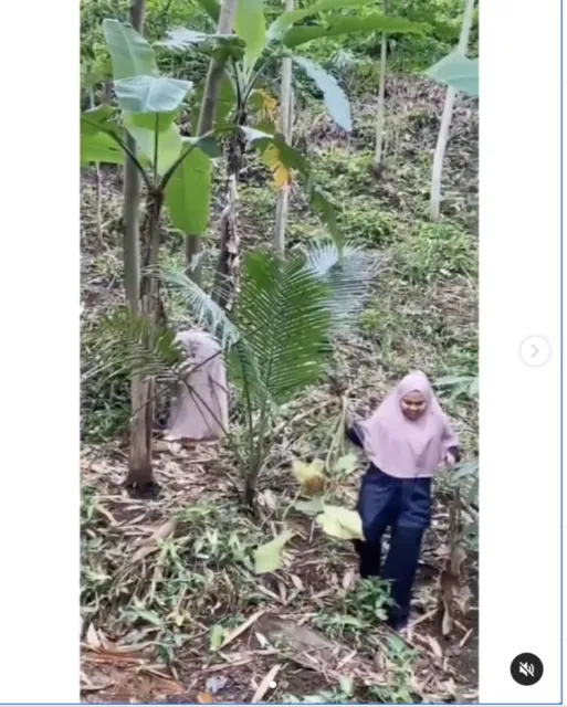 Geng Ibu-Ibu Viral Berburu Bunga Sampai ke Makam. Demam Tanaman Hias Memang Bisa Separah itu, ya :D 3
