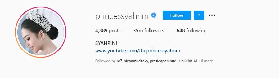10 Artis Indonesia dengan Followers IG Terbanyak Tahun 2021. Raffi Ahmad Geser Ayu Ting Ting 14