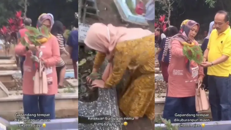 Geng Ibu-Ibu Viral Berburu Bunga Sampai ke Makam. Demam Tanaman Hias Memang Bisa Separah itu, ya :D 4