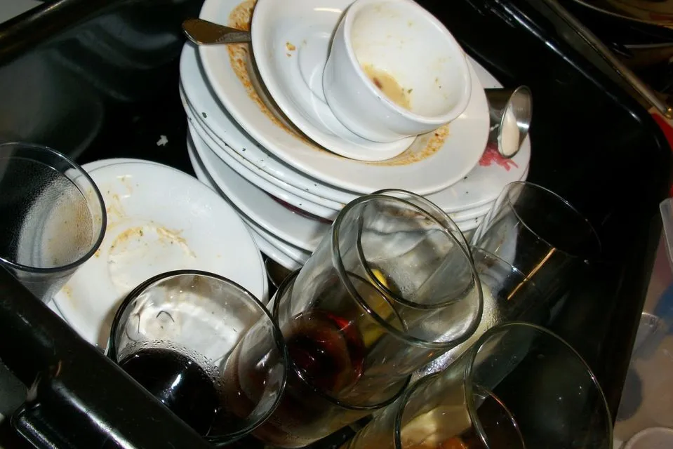 10 Manfaat ini Bikin Teh Celup Bekas Sayang Kalau Dibuang. Baik buat Tanaman Hingga Kecantikan 19