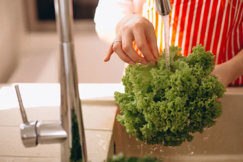 5 Cara Membersihkan Sayur Sayuran dari Ulat yang Nggak Kelihatan. Brokoli nih, Paling Rentan! 7