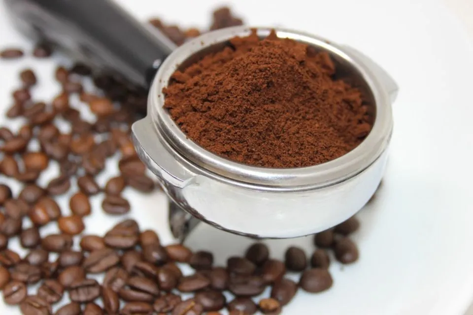 8 Racikan Masker Kopi yang Nggak Hanya Bikin Glowing, Bau Badan hingga Rambut Kusam Bisa Hilang! 15