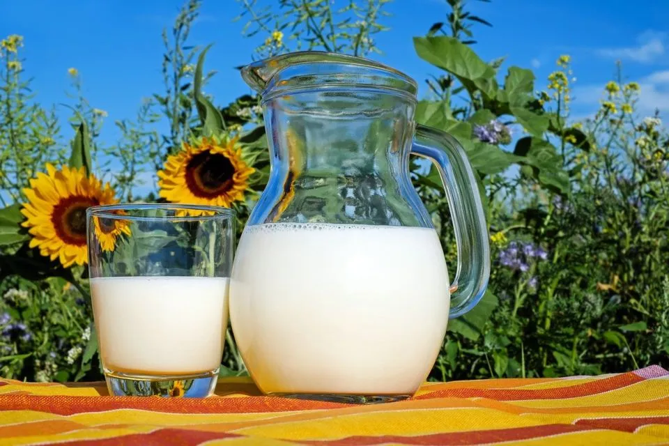 Bedanya Susu UHT, Pasteurisasi, Susu Bubuk, dan Susu Kental Manis. Mana yang Paling Baik? 7