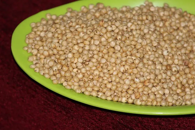 10 Makanan Pengganti Nasi Kaya Karbohidrat, Bikin Kenyang dan Sehat 20 makanan pengganti nasi