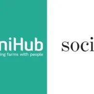 5 Perusahaan Start-up Indonesia yang Makin Naik Daun Selama Pandemi. Bidang Apa Saja ya?