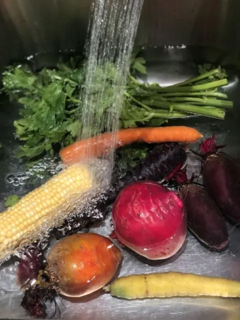 5 Cara Membersihkan Sayur Sayuran dari Ulat yang Nggak Kelihatan. Brokoli nih, Paling Rentan! 6