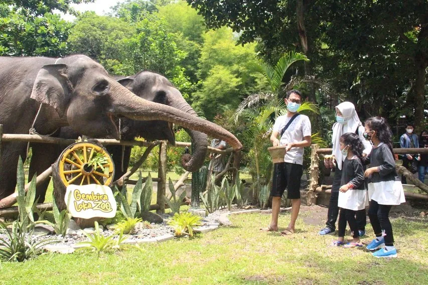 Intip Keseruan Wisata Keluarga di Gembira Loka Zoo. Banyak Atraksi Satwa juga, lo! 6