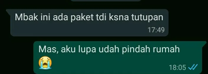 11 Deretan Chat Kocak Kurir Paket dan Penerimanya ini Bakal Bikin Kamu Senyum-Senyum Sendiri~ :D 15
