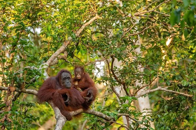 Voluntourism, Tren Wisata Unik yang Mengajakmu Liburan Sambil Ikut Aksi Sosial di Masyarakat Lokal 11