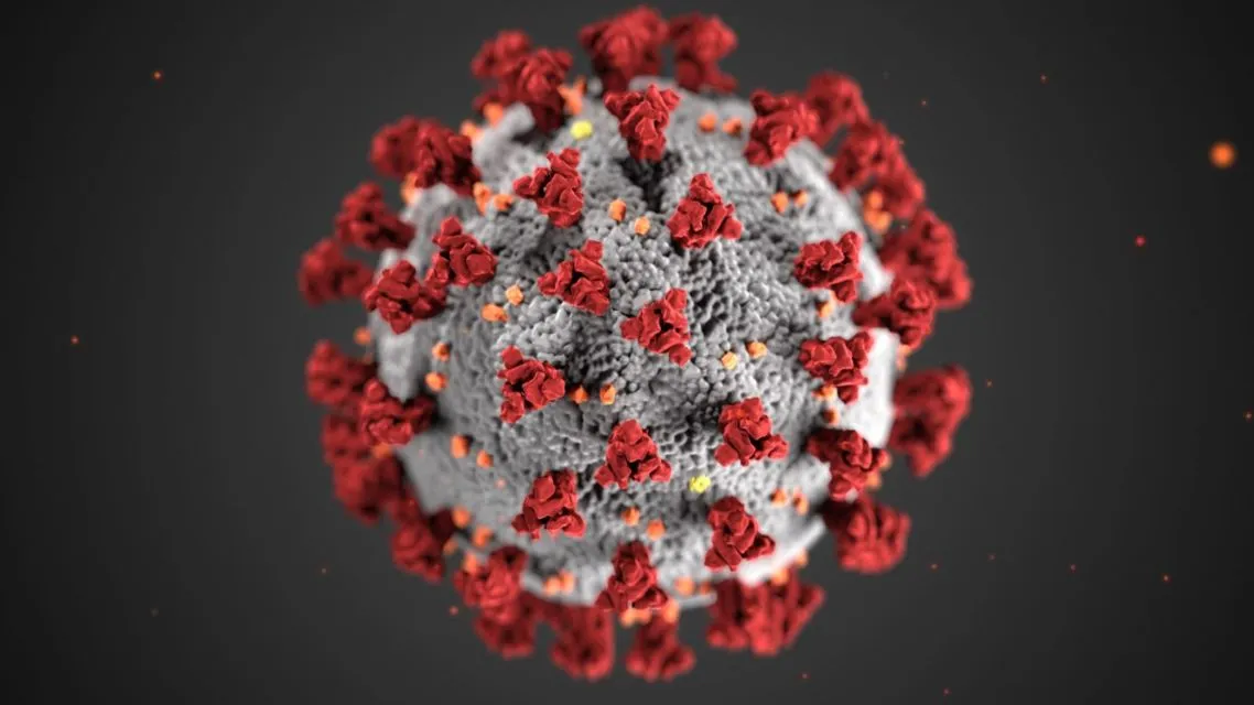 Mengenal 3 Mutasi Virus Corona yang Sudah Masuk Indonesia. Penting Banget Kita Tahu! 6