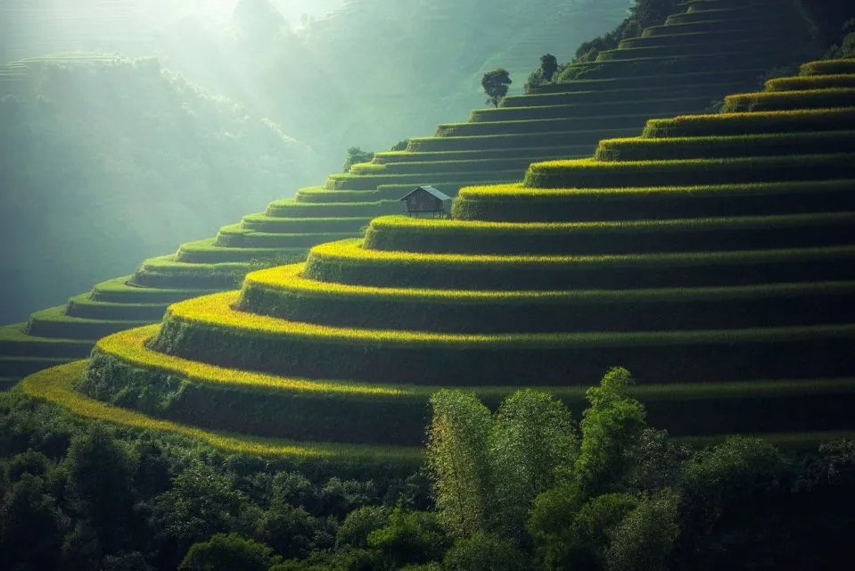 6 Desa Adat di Bali dengan Potensi Wisata & Budaya 6 desa adat di bali