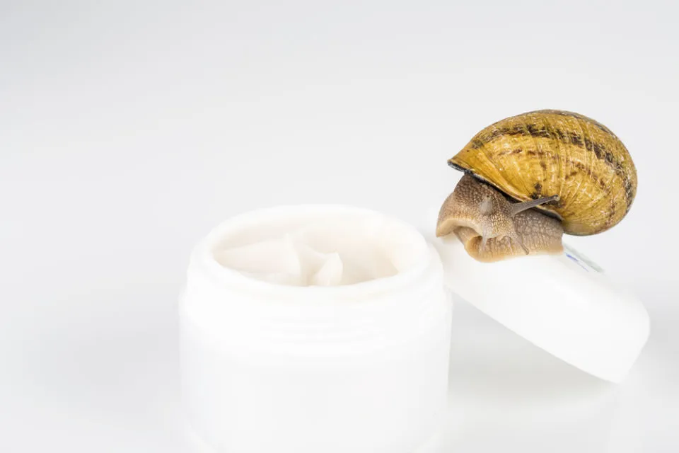 6 Fakta Bahan Skincare Alami Korea yang Super Populer, Bisa Jadi Ada di Sekitar Kita Lo~ 9