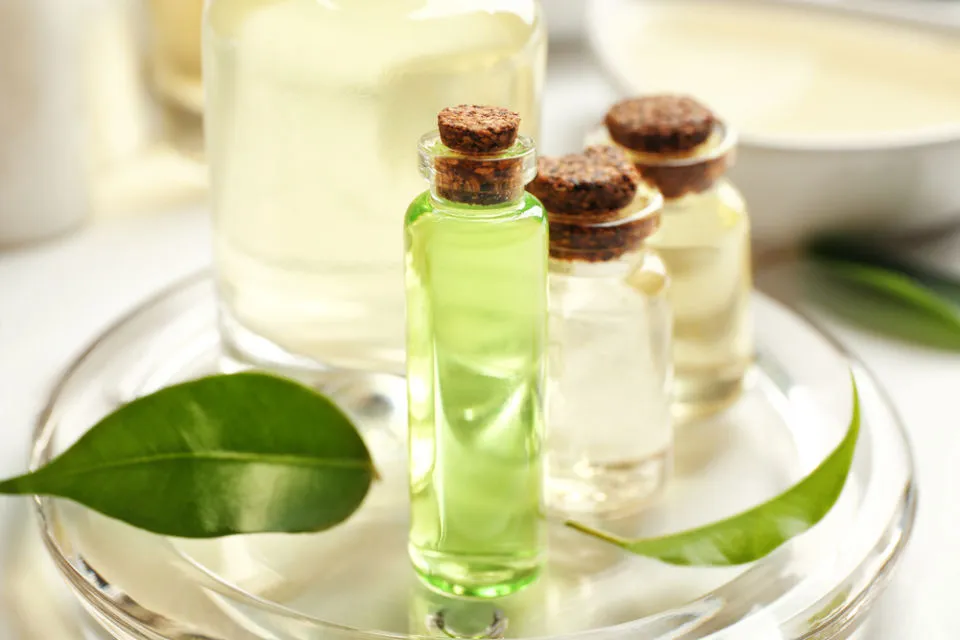 6 Fakta Bahan Skincare Alami Korea yang Super Populer, Bisa Jadi Ada di Sekitar Kita Lo~ 11