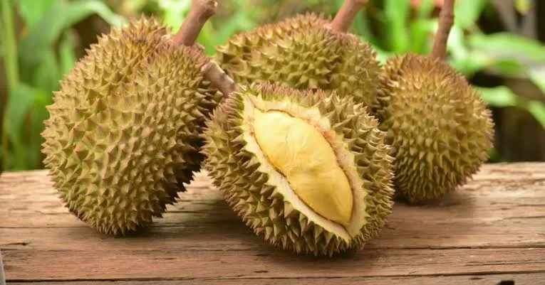 10 Destinasi Wisata Petik Buah Menarik Buat Mereka Para Pecinta Buah-buahan. Bisa Bawa Pulang Buahnya lo 15