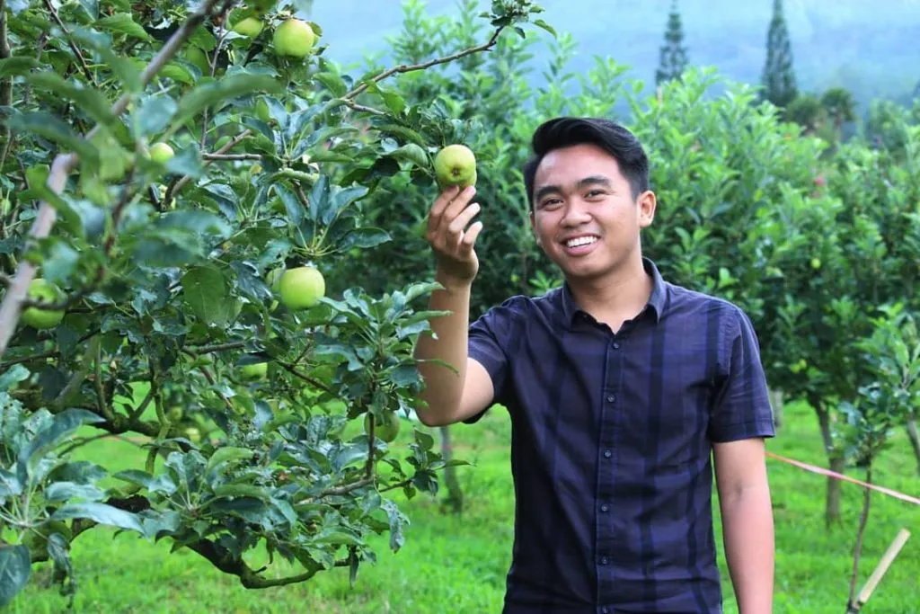 10 Destinasi Wisata Petik Buah Menarik Buat Mereka Para Pecinta Buah-buahan. Bisa Bawa Pulang Buahnya lo 18