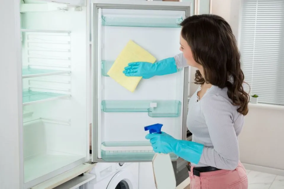 7 Tips Membeli Kulkas Kecil untuk Rumah yang Mungil. Wajib Ketahui nih, Biar Nggak Mubazir 14
