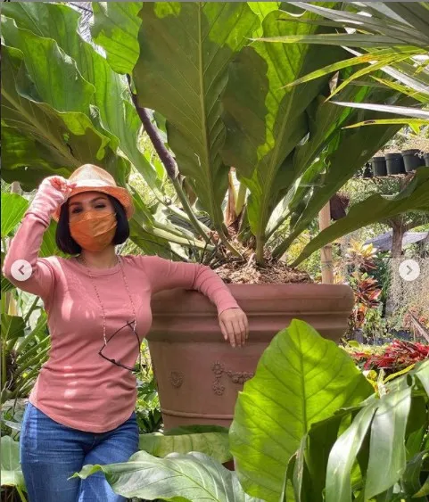 8 Artis yang Ikut Kena